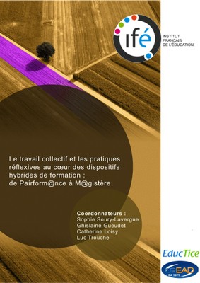 Couverture rapport Pairform@nce 2013
