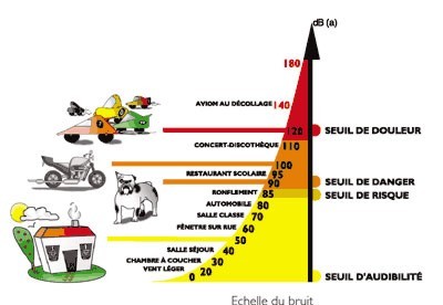 niveaux sonores